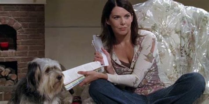 Introducing 'Gilmore Girls’ Star Dog Paul Anka