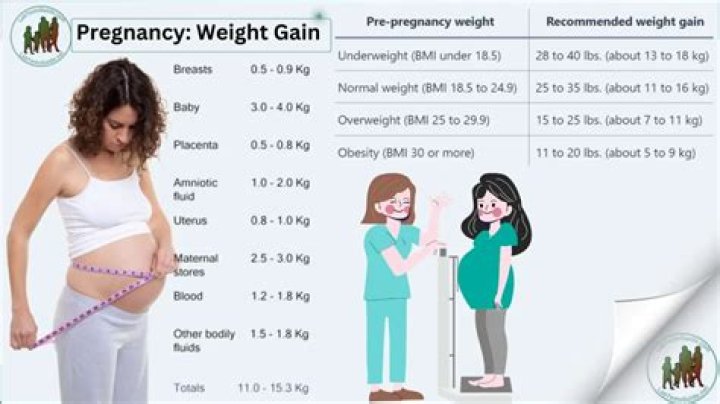 Is Monica Raymund Weight Gain Linked To Pregnancy? Before And After