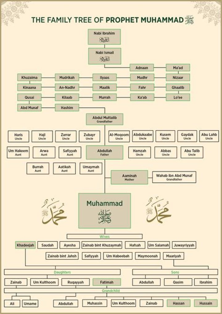 Is Nia Ali Related To Muhammad Ali? Family Tree