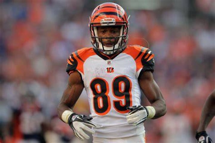 Jerome Simpson's touchdown flip keeps Bengals alive CBS News