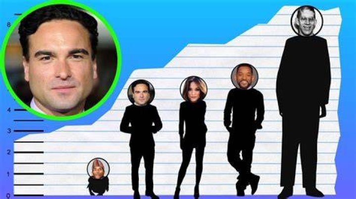 Johnny Galecki Height How Tall is the Big Bang Actor?