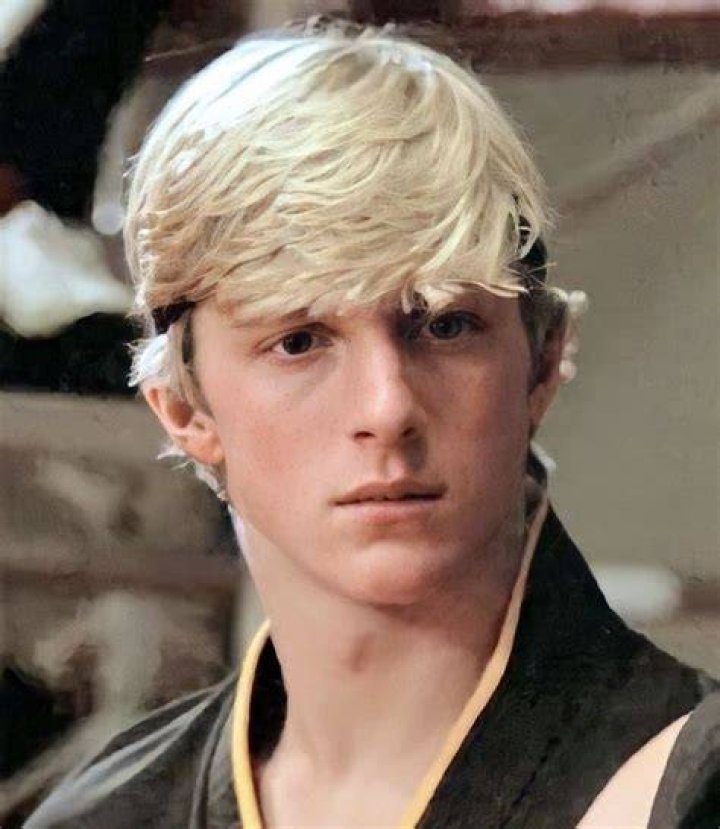 Johnny Lawrence (Karate Kid) The karate kid 1984, Karate kid, Kid cobra