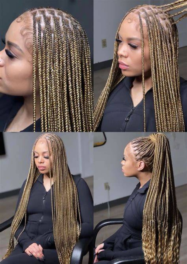 Knotless box braids with color officialnibht