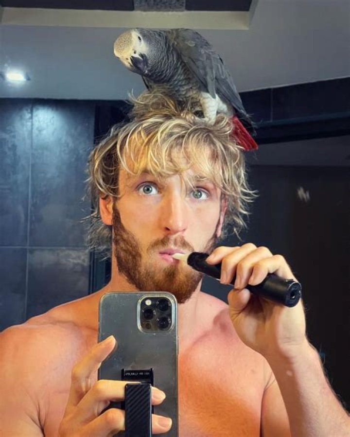 Logan Paul Height, Age, Bio, Net Worth, Family, Facts