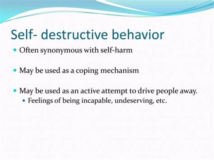 Lyrics & Translations of Self Destructive by Vorsa