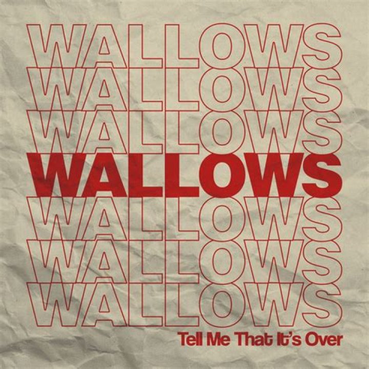 Lyrics & Translations of Talk Like That by Wallows