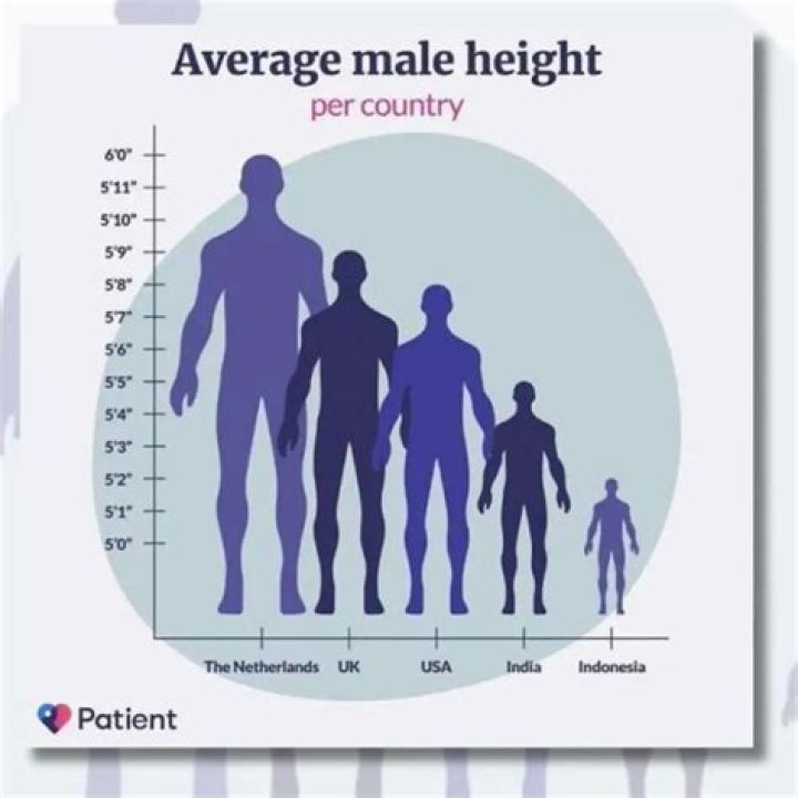 Madi Skinner Height Is 6Ft.2 Inch: Wikipedia And Age