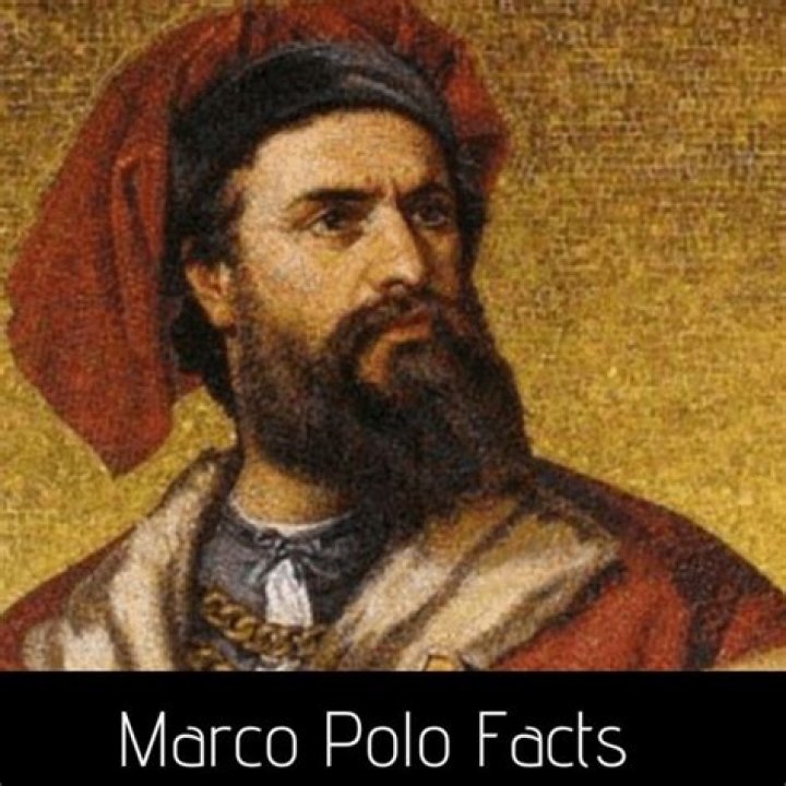 Marco Cellucci – Biography, Facts & Life Story