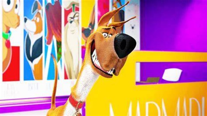 Marmaduke YouTube