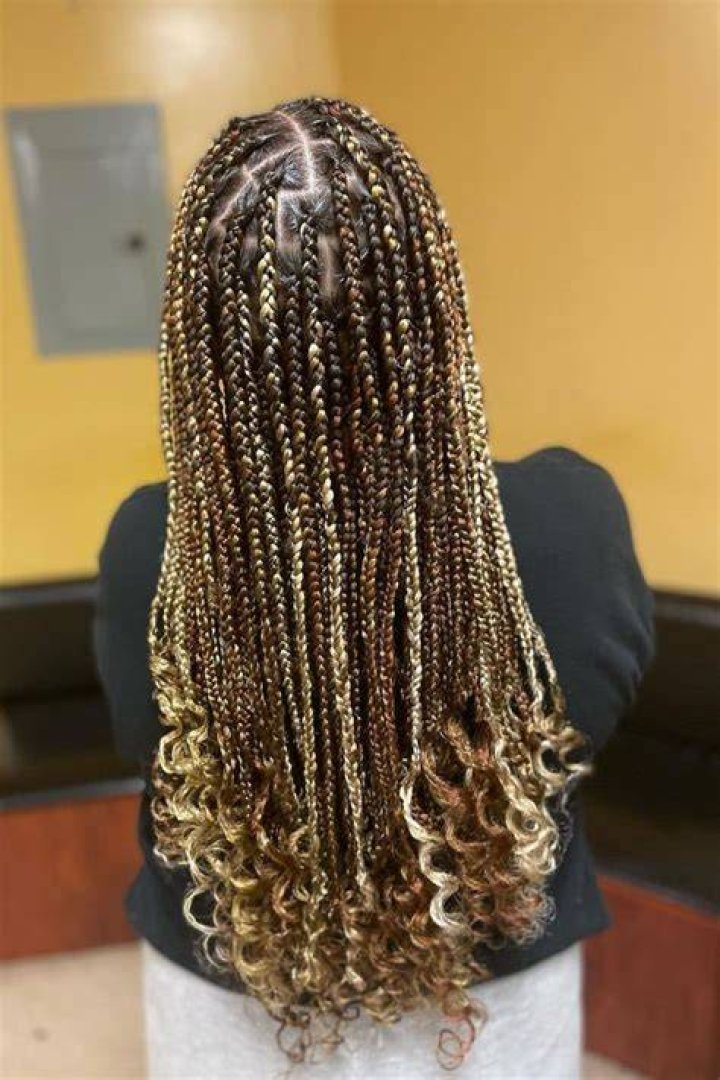 Medium Knotless Braids With Curly Ends Goimages Fun