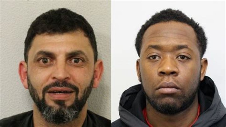 Mehmet Koray Alpergin Kidnapping Case: Pair Arrested