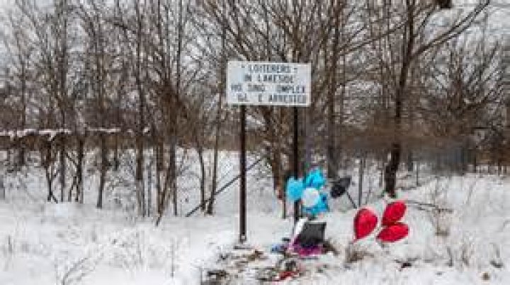 Monica Cannady Michigan Mom And Her Sons Death- Found Frozen In Park
