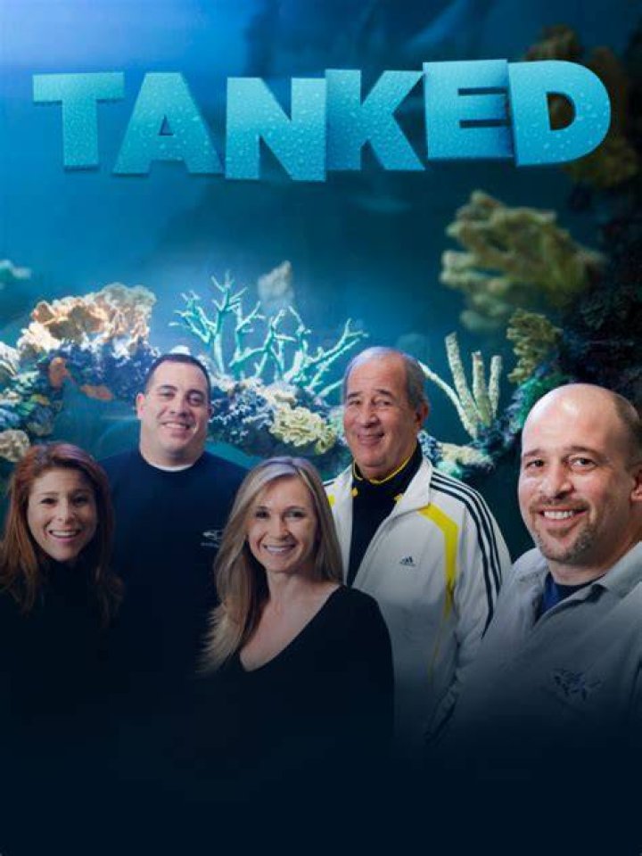 Movie Reviews Tanked