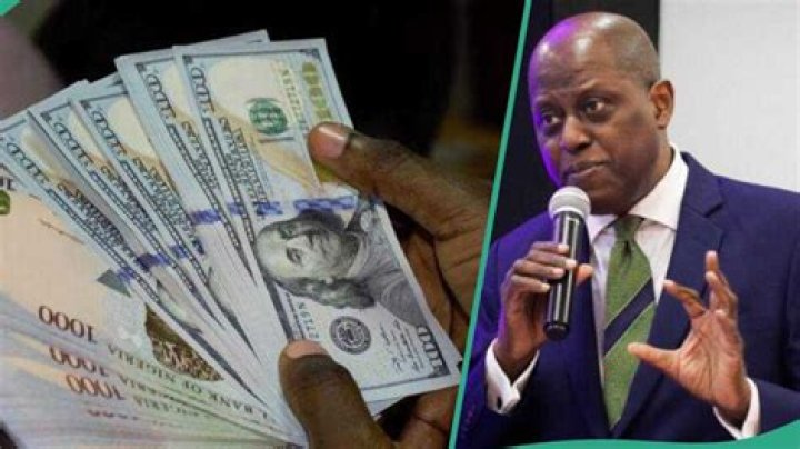 Naira vs Dollar: Factors Influencing Nigerian Currency Rate