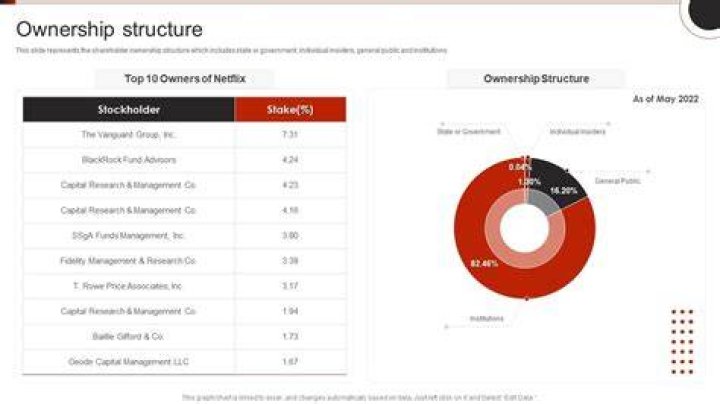 Netflix Company Outline Ownership Structure Graphics PDF PowerPoint