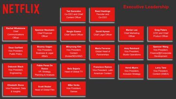 Netflix Organizational Structure in 2023 databahn