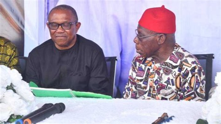 Obasanjo Hired Russian Lawyer ‘Natalia Veselnitskaya’ for Peter Obi? Fact Emerges