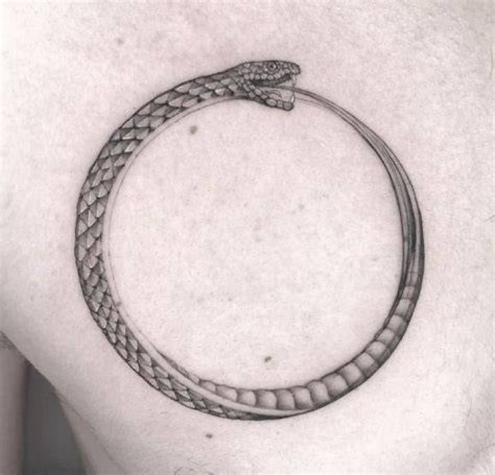 Ouroboros Tattoos Designs, Ideas and Meaning Tattoos For You