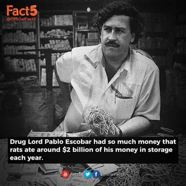 Pablo Escobar Money Facts