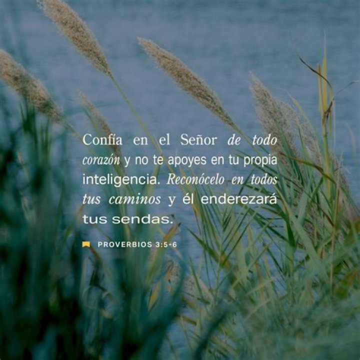 Proverbios 18.14