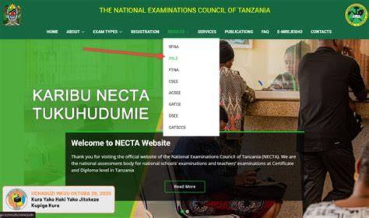 Psle Results Necta Standard Seven 7 Results