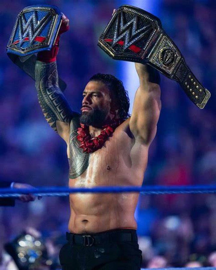 roman reigns winning the 2015 royal rumble