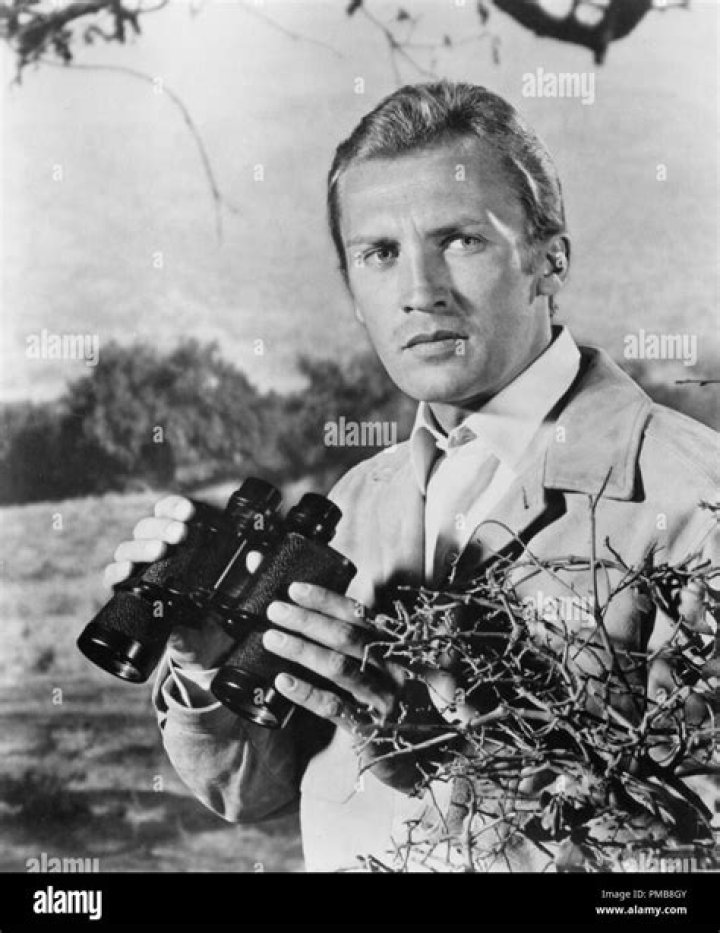 Roy Thinnes
