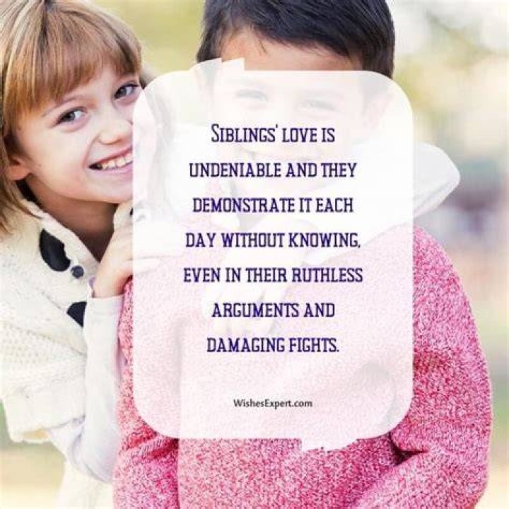 Sibling Quotes Text & Image Quotes QuoteReel