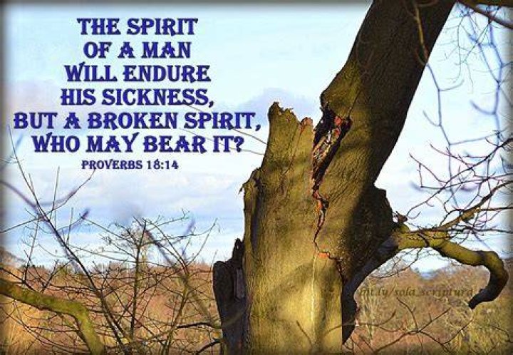 Sola Scriptura Proverbs 1814