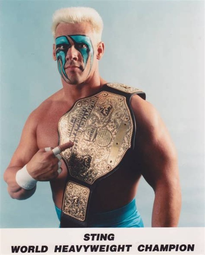 Sting as the WCW World Heavyweight Champion