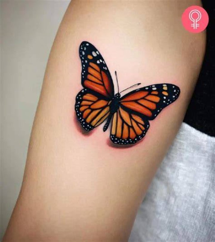 Strength tattoo Butterfly tattoo on shoulder, Strength tattoo, Tattoos