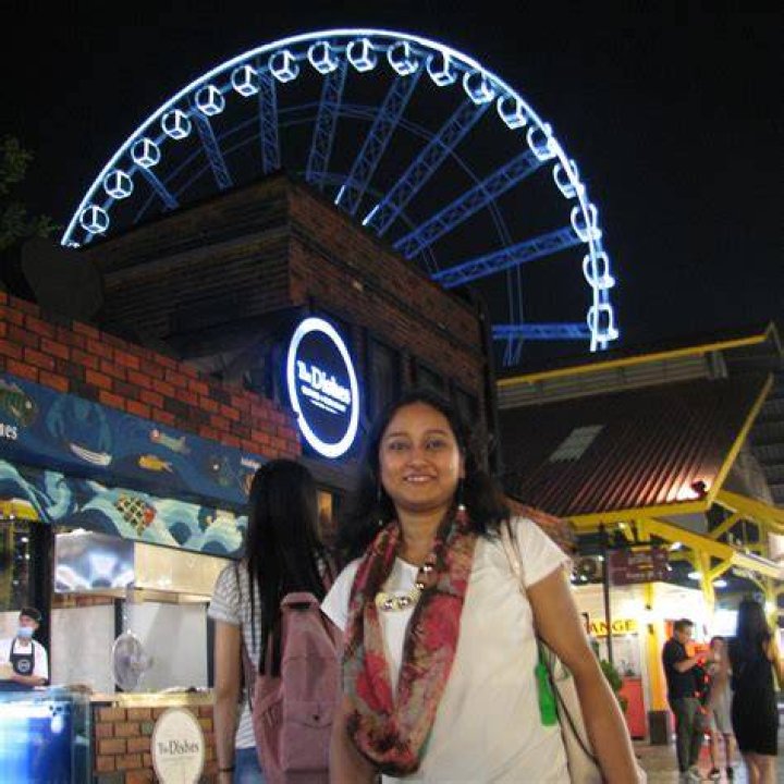 Sudipta Hore standing at a festival in front of a lit-up ferris wheel