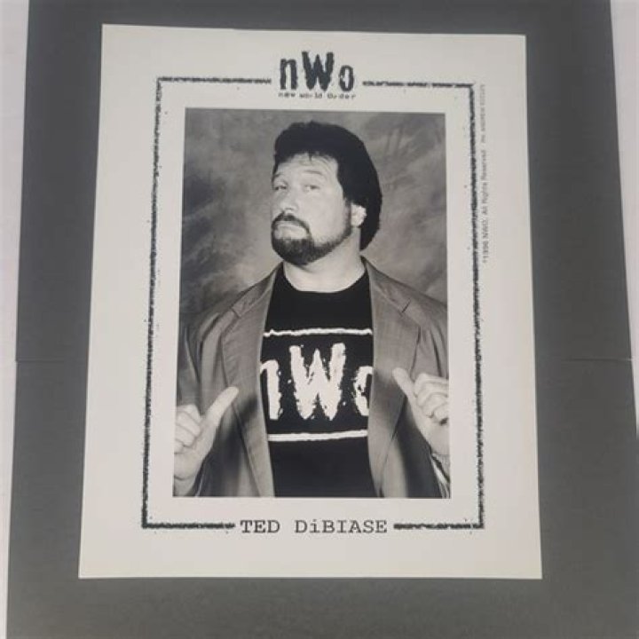 Ted DiBiase Joins nWo