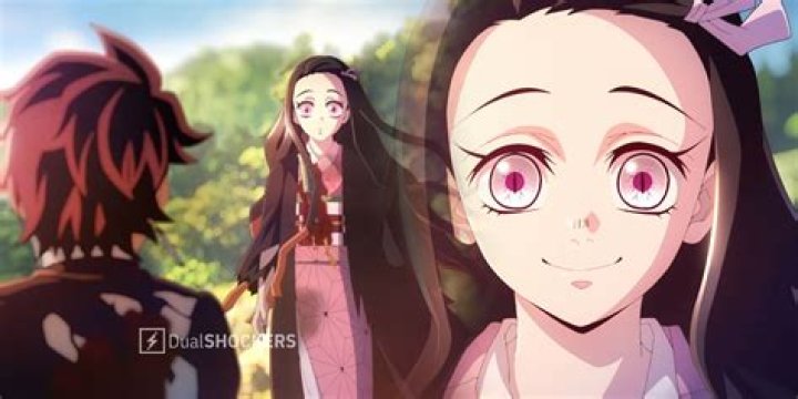The Aftermath of Nezuko Conquering the Sun