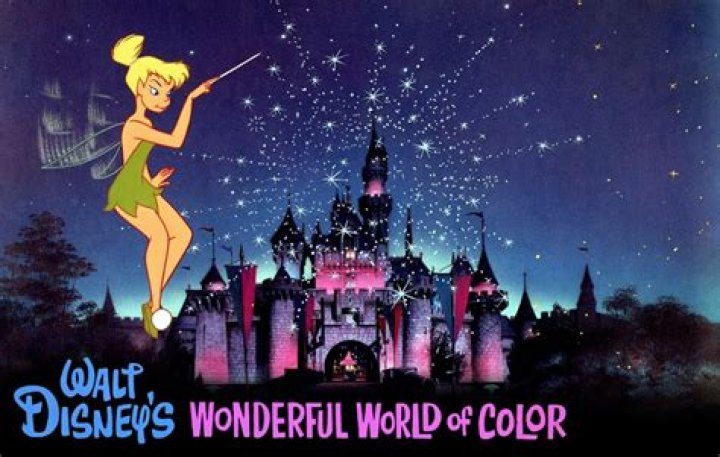 The Wonderful World of Disney