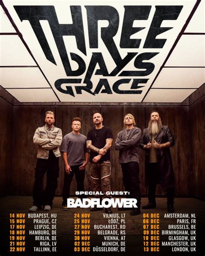 Three Days Grace's Achievements in Charts