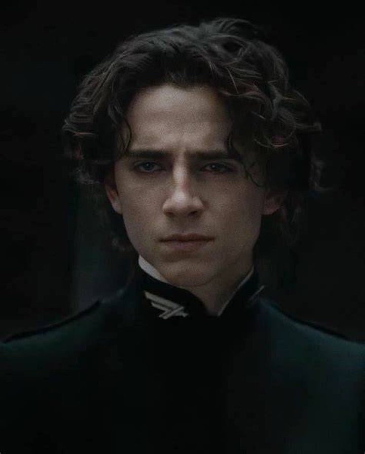 Timoth&eacute;e Chalamet as Regulus Black in The Marauders