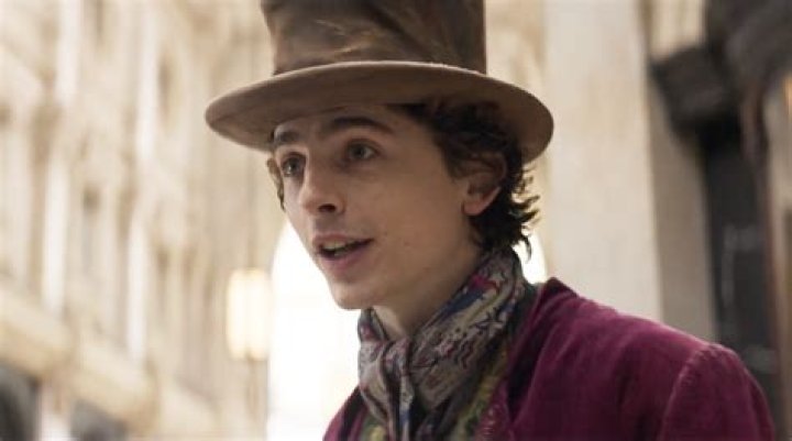 Timothee Chalamet No Makeup 2023: Did He Have A Nose Job?