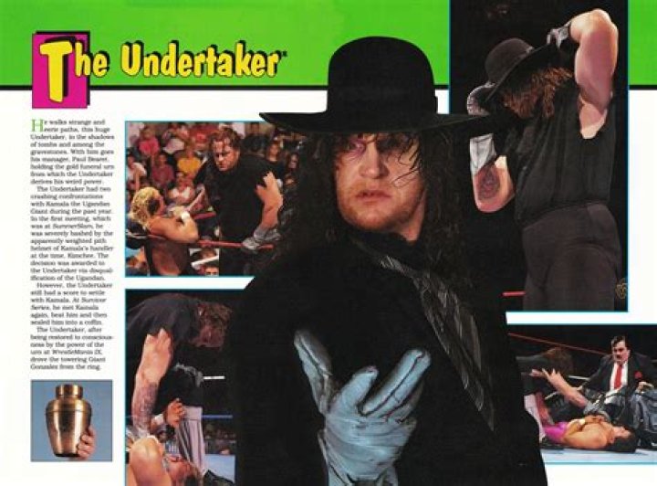 Undertaker 1993