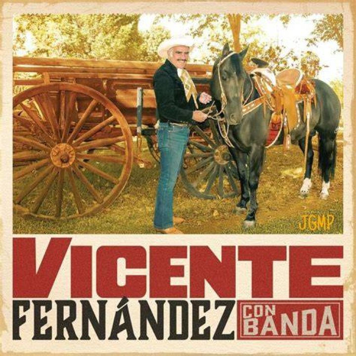Vicente Fern&aacute;ndez