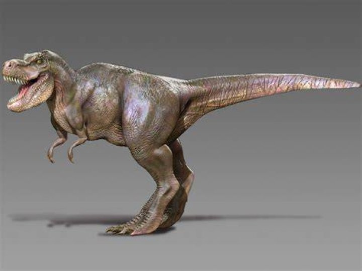 Vince And The Tyrannosaur