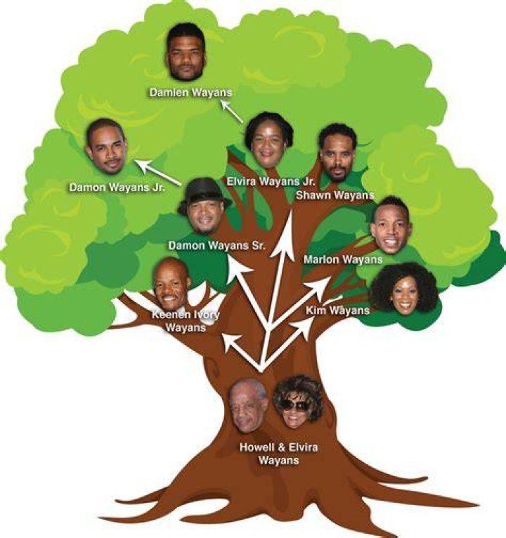 Wayans Family Tree Pictures Family Tree