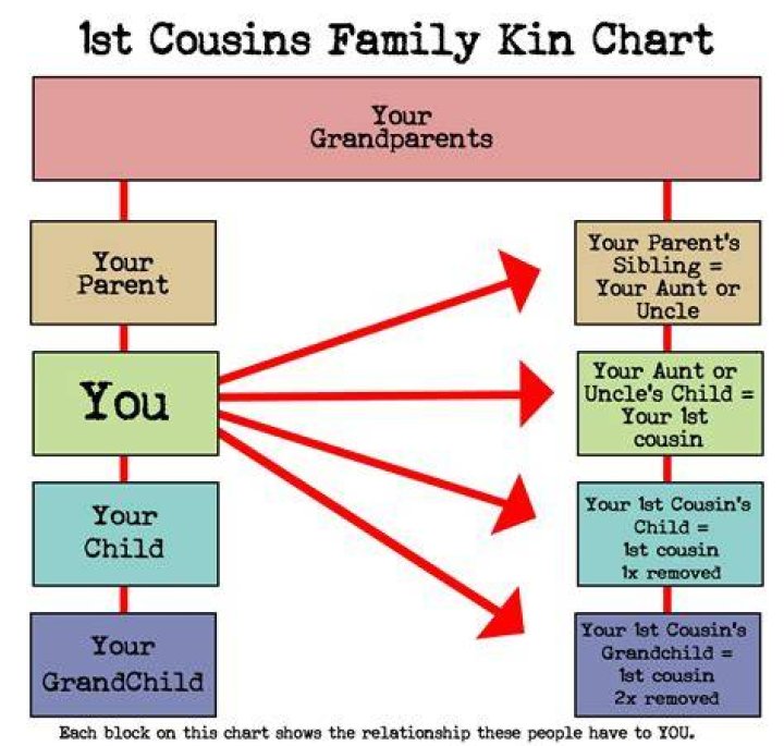 What cousin are they? How to understand family relationships Root To