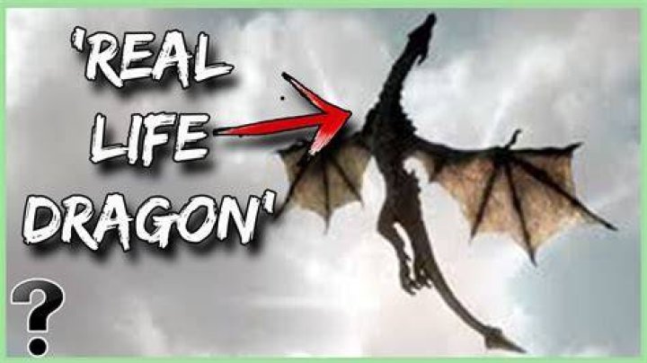 What If Dragons Were Real?