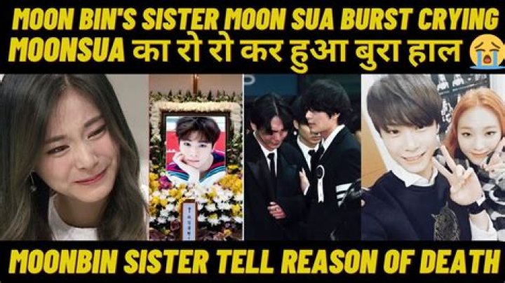Who Is Astro Moonbin Sister Moon Sua? Family Tree