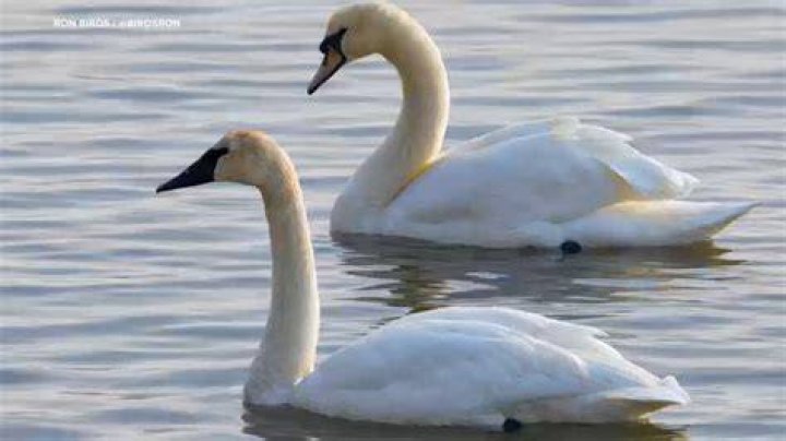 Ya&rsquo;s first time in Brooklyn was dope. she got to spend time with her